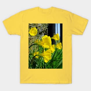 Golden Bells T-Shirt